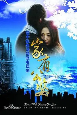家有公婆 海报