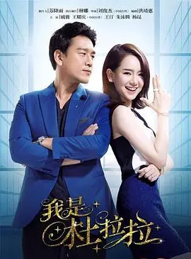 我是杜拉拉 海报
