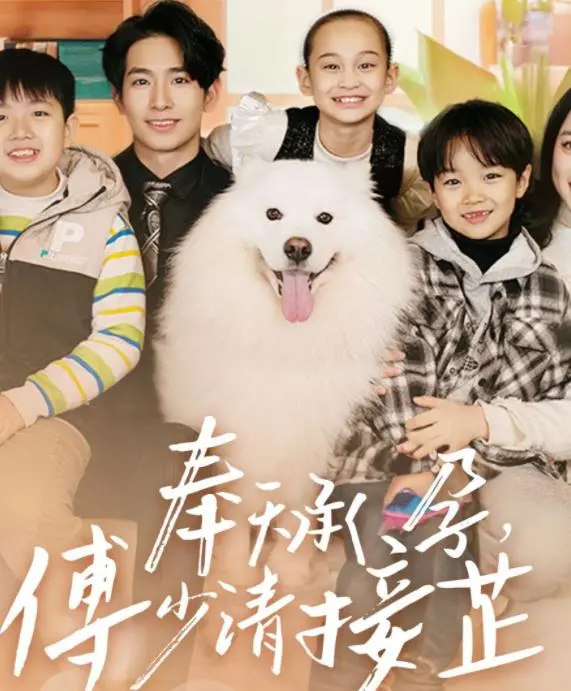 奉天承孕：傅少请接芷 海报