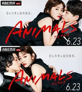 《ANIMALS》影评：当青春的野性冲撞现实的围墙，一场关于身份认同的残酷成人礼